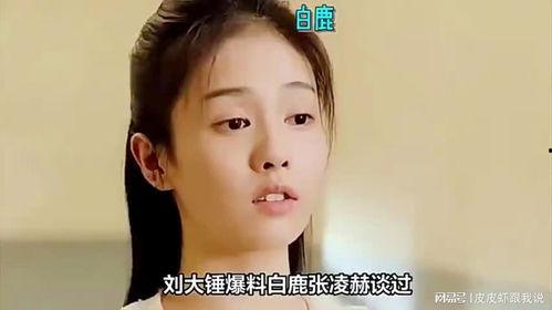 刘大锤爆料最新白鹿视频,精彩瞬间大盘点